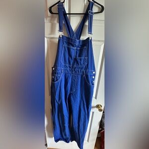 Free People Blue Denim Jumpsuit